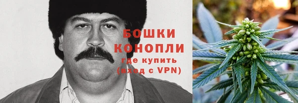 хмурый Абаза