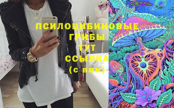 тгк Абинск