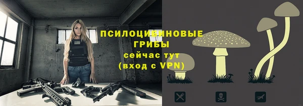 тгк Абинск