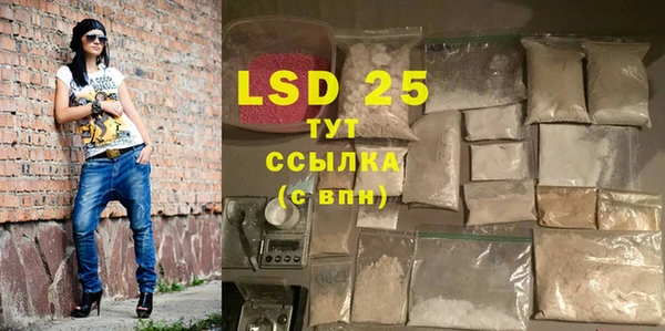 хмурый Абаза