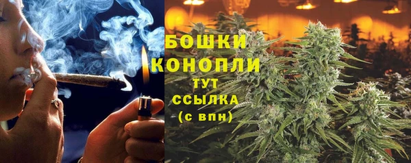 хмурый Абаза