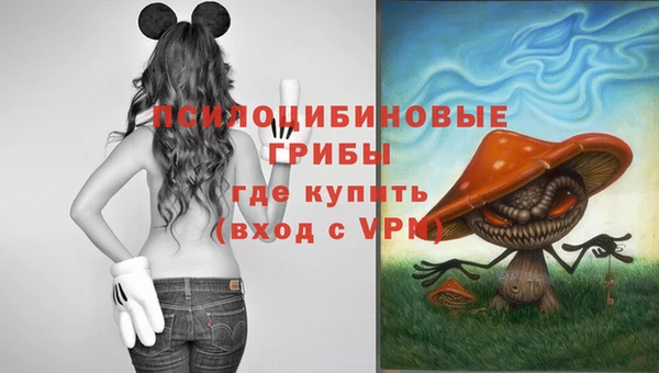 тгк Абинск