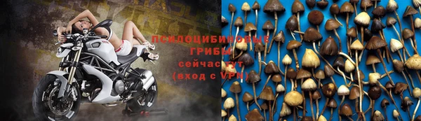 спайс Абдулино