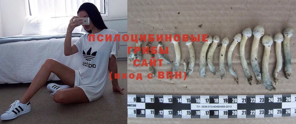 хмурый Абаза